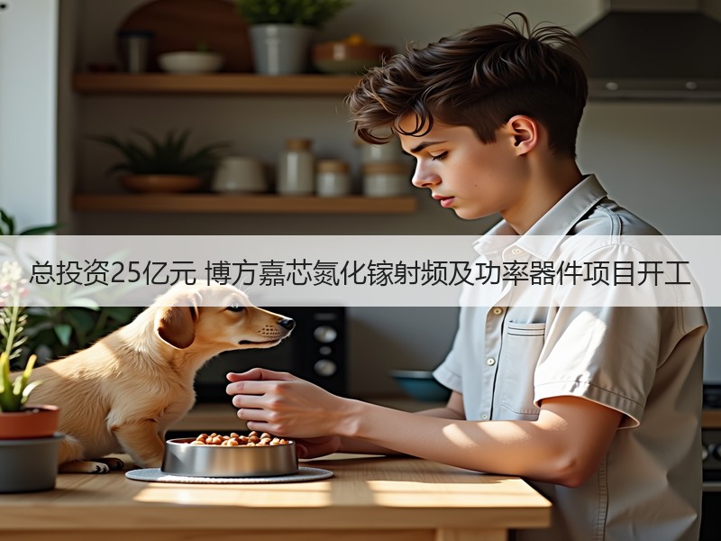总投资25亿元 博方嘉芯氮化镓射频及功率器件项目开工