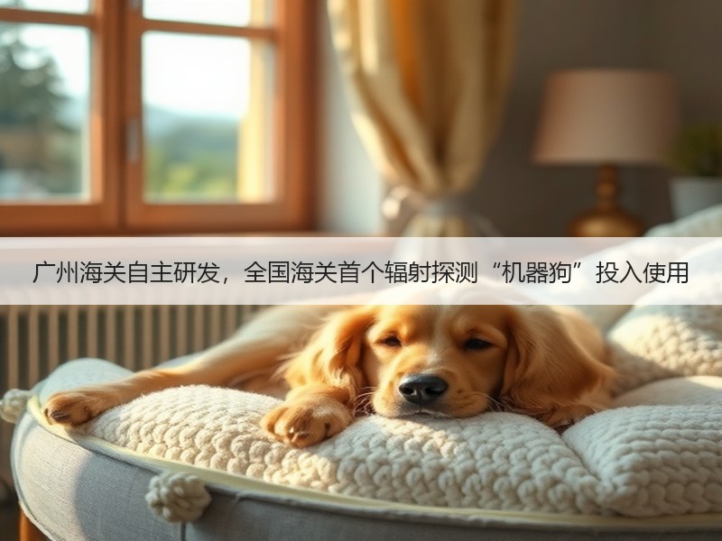 广州海关自主研发，全国海关首个辐射探测“机器狗”投入使用