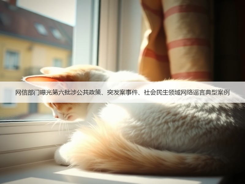网信部门曝光第六批涉公共政策、突发案事件、社会民生领域网络谣言典型案例