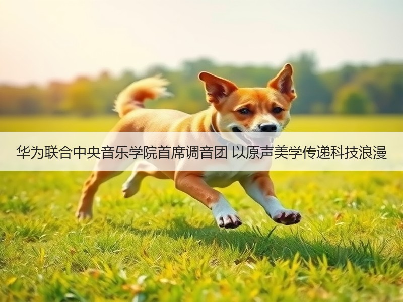 华为联合中央音乐学院首席调音团 以原声美学传递科技浪漫