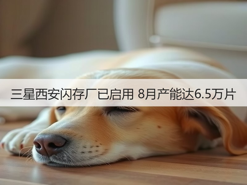 三星西安闪存厂已启用 8月产能达6.5万片