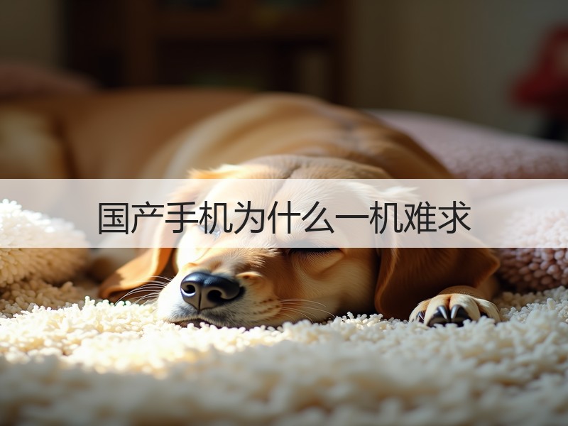 国产手机为什么一机难求