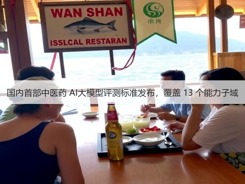 国内首部中医药 AI大模型评测标准发布，覆盖 13 个能力子域