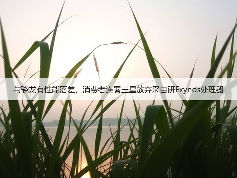 与骁龙有性能落差，消费者连署三星放弃采自研Exynos处理器